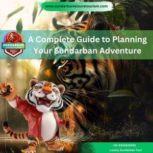 Complete Guide to Planning Your Sundarban Adventure