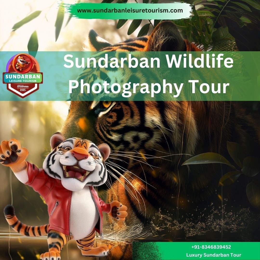 Sundarban Wildlife Photography Tour