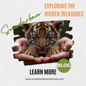 Exploring the Hidden Treasures of Sundarban