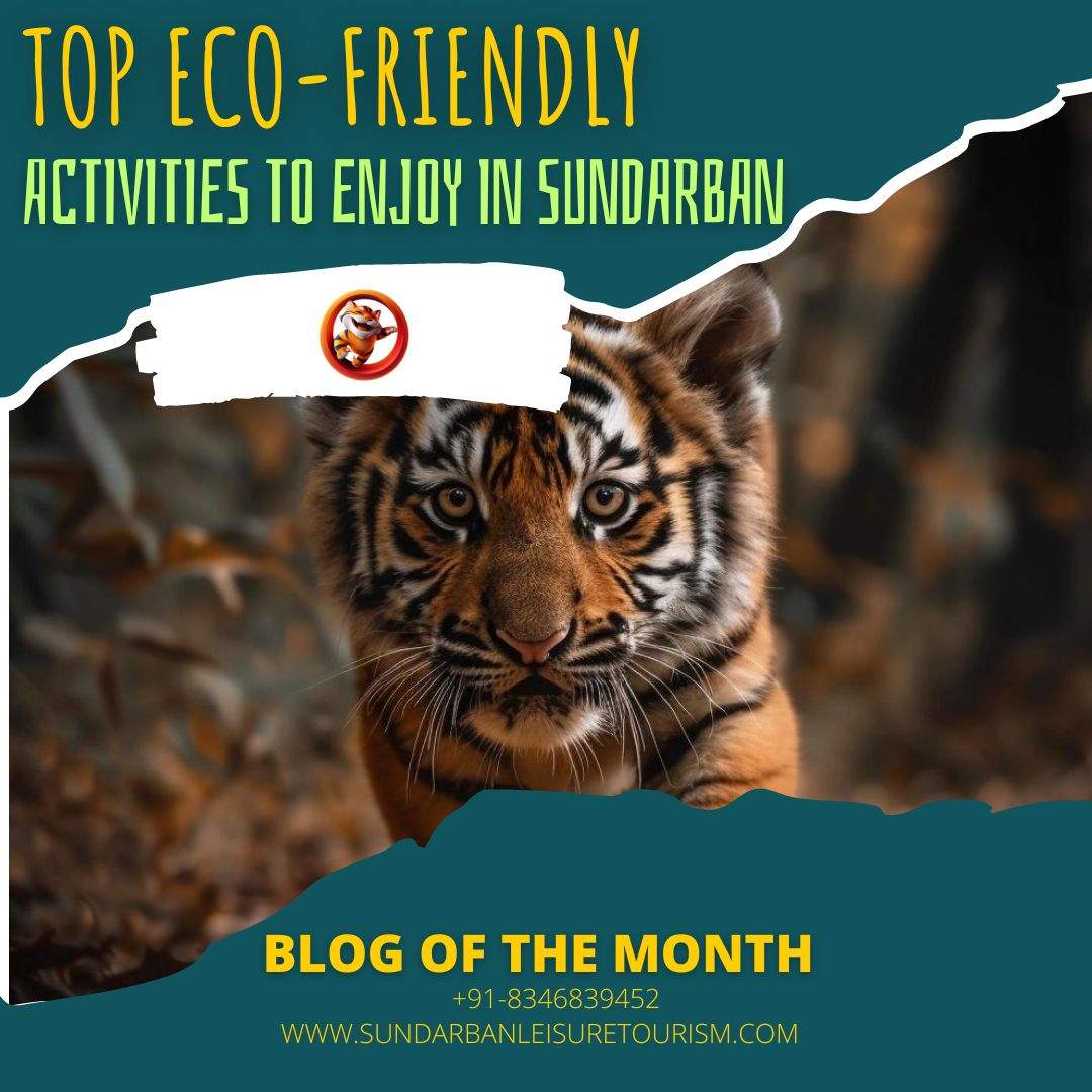 Top Eco-Friendly Activities to Enjoy in Sundarban