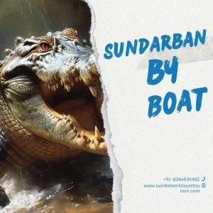 Sundarban by Boat