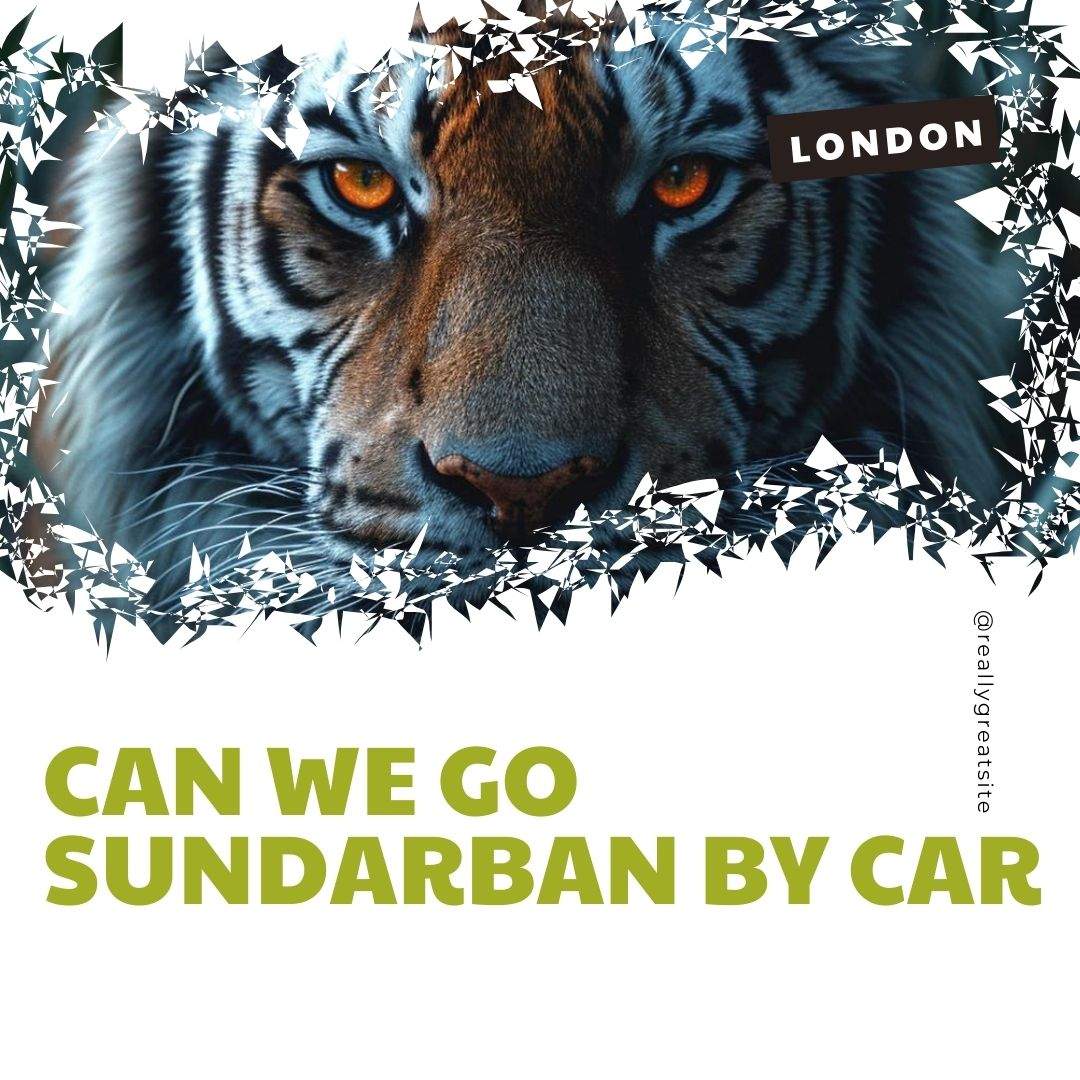 can we go sundarban by car