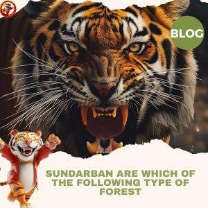 sundarban are which of the following type of forest