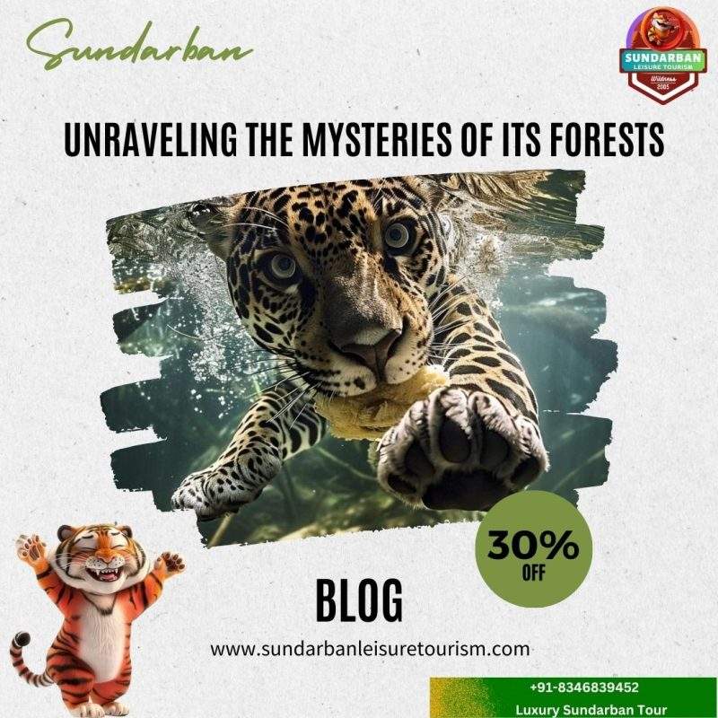 sundarban are which type of forest