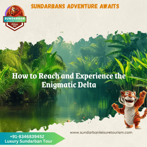 sundarban how to reach