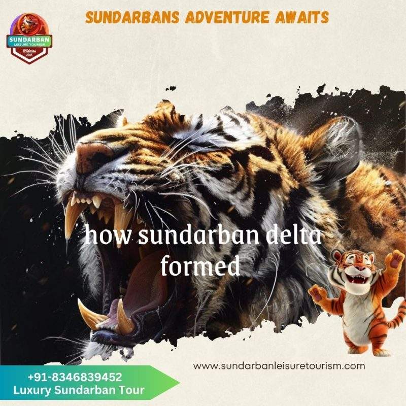 how sundarban delta formed class 9