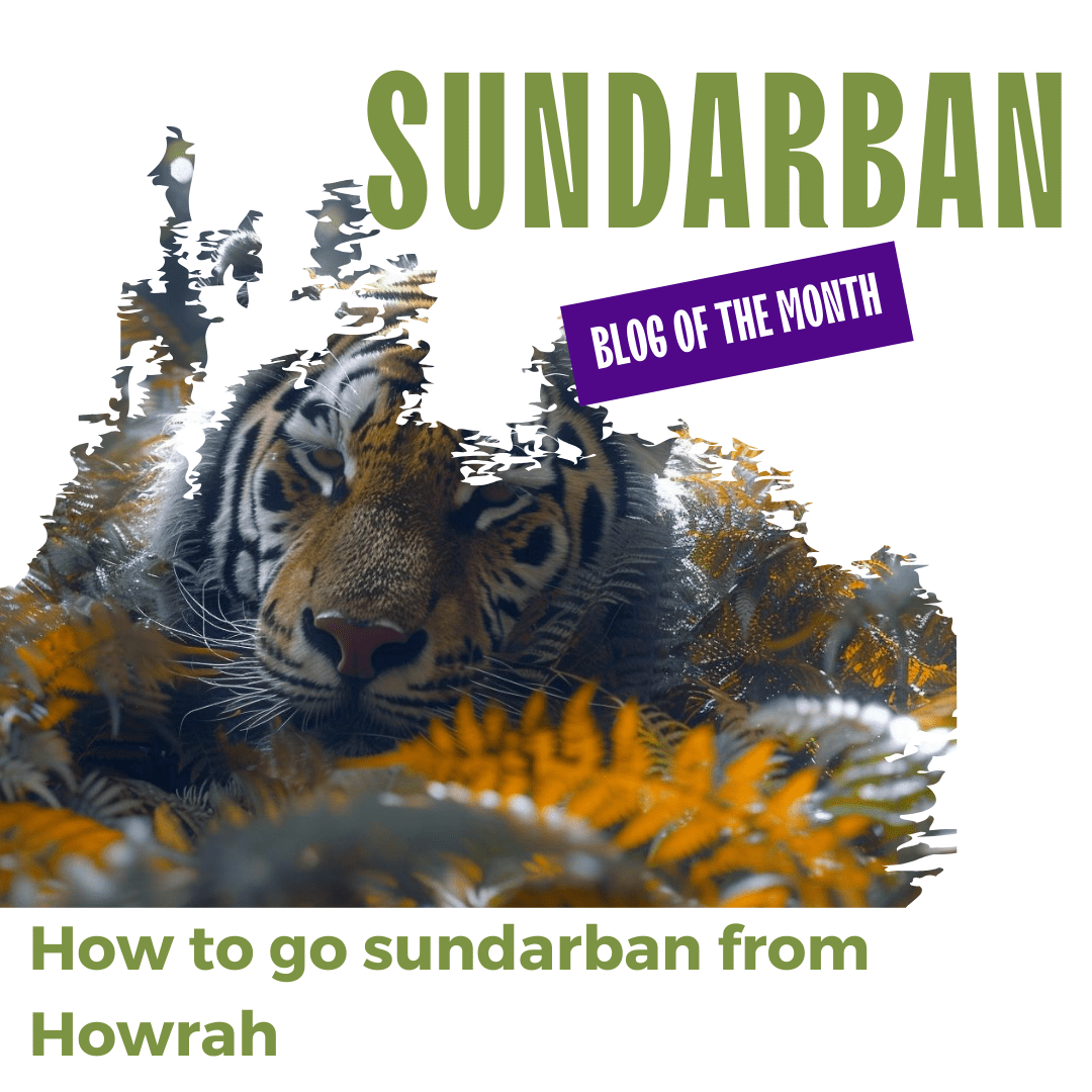 How to go sundarban from Howrah