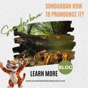 Sundarban How to Pronounce It?