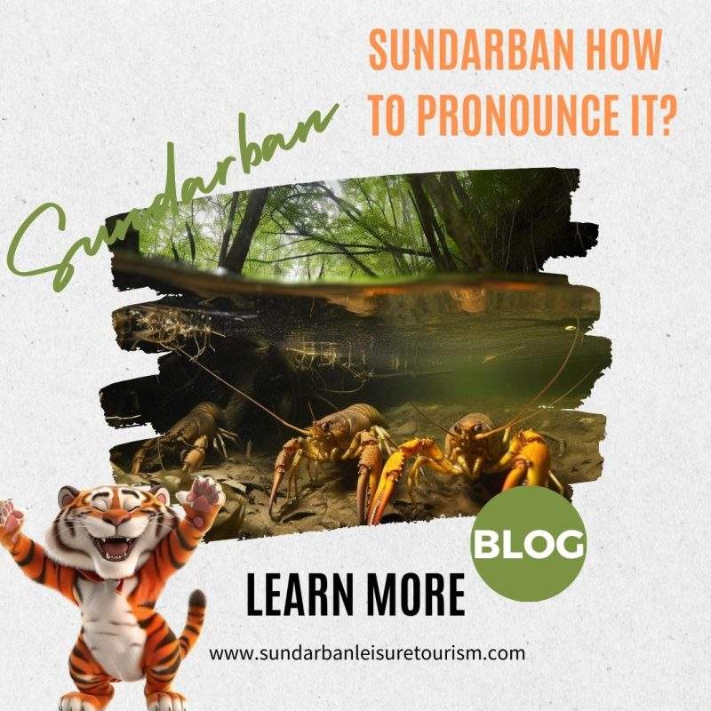 Sundarban How to Pronounce It?