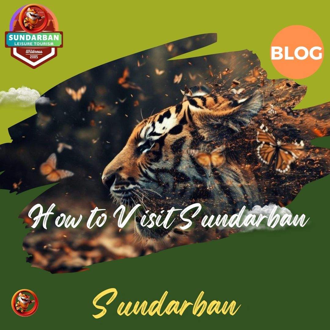 How to Visit Sundarban