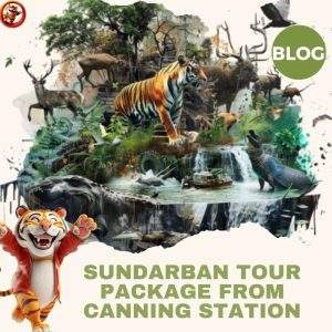 Sundarban National Park from Kolkata