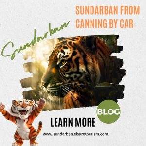 Sundarban from Canning by Car