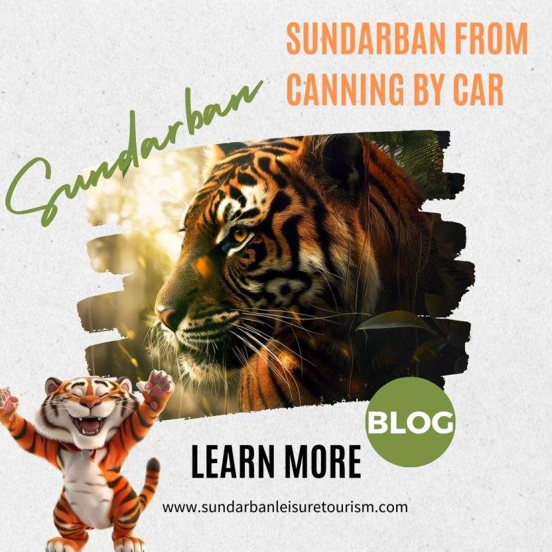 Sundarban from Canning by Car