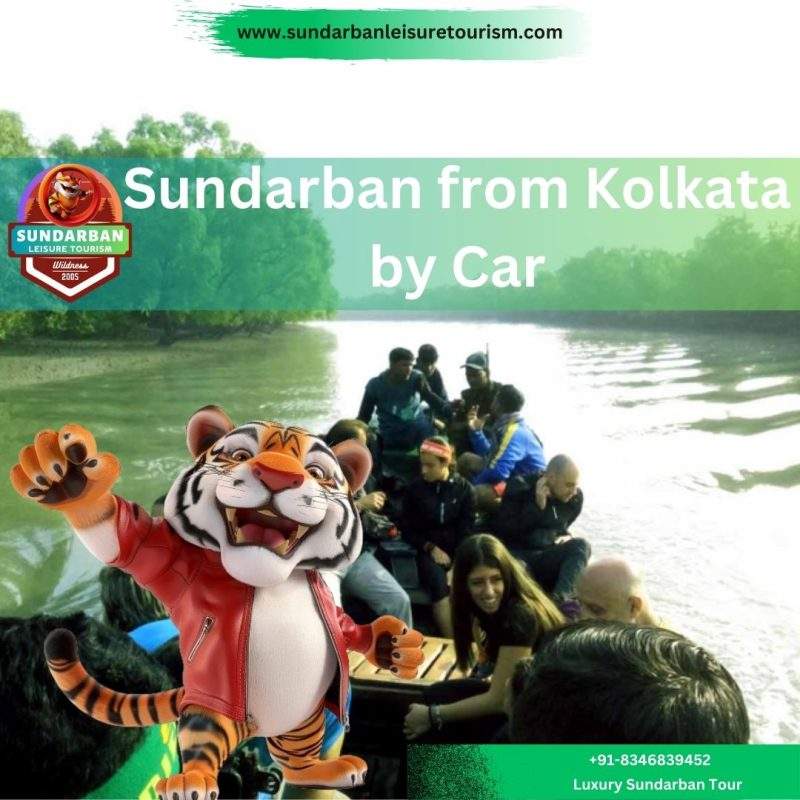 Sundarban from Kolkata by Car