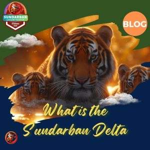 What is the Sundarban Delta