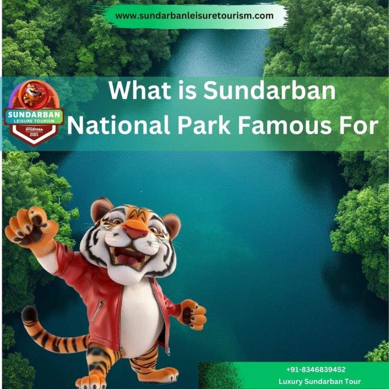 What is Sundarban National Park Famous For