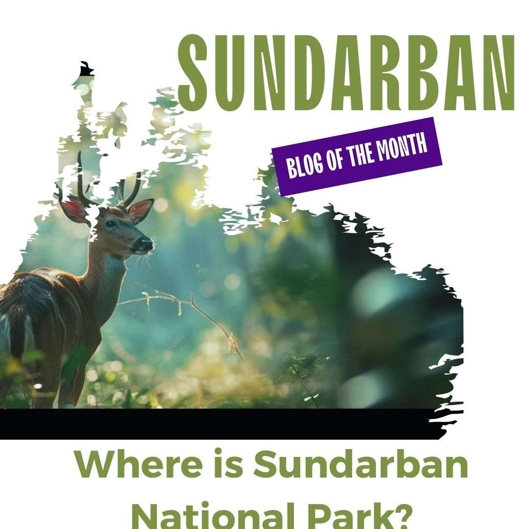 Where is Sundarban National Park