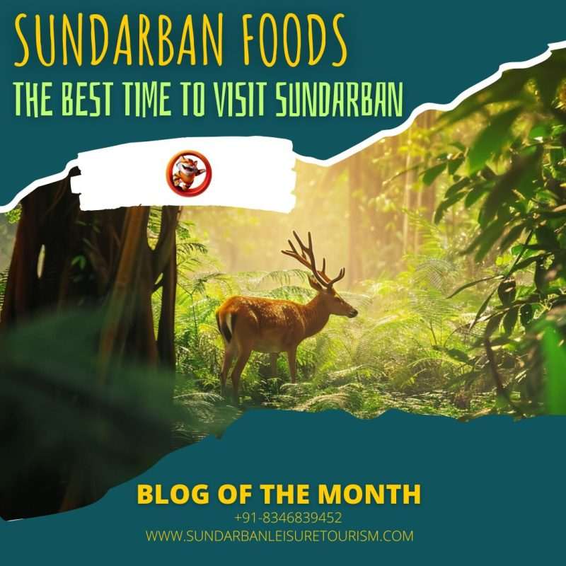 The Best Time to Visit Sundarban