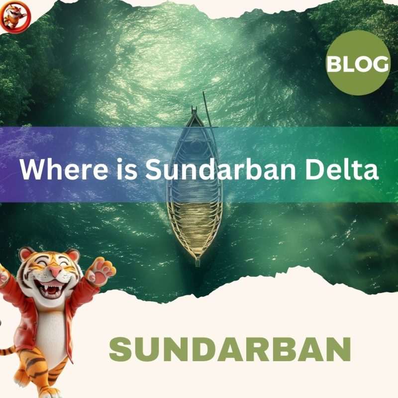 Where is Sundarban Delta