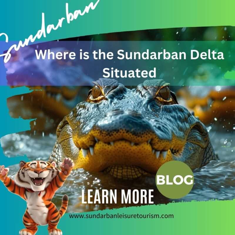 Where is the Sundarban Delta Situated